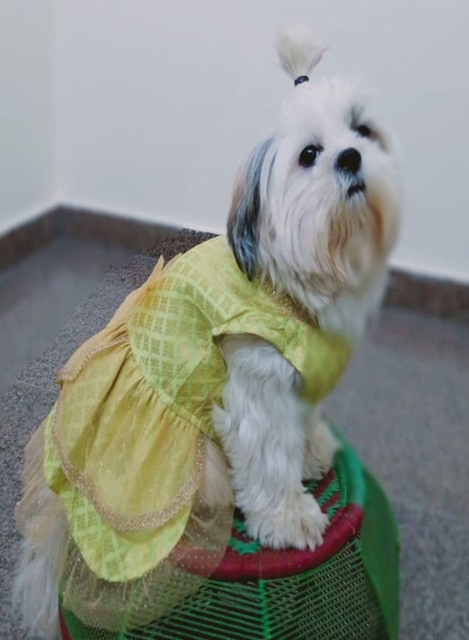 Lulala Traditional Dog Dress for Small, Medium & Large Dogs – Light Green & Golden Ethnic Outfit with Bow | Festive Pet Costume for Weddings & Parties - Image 1
