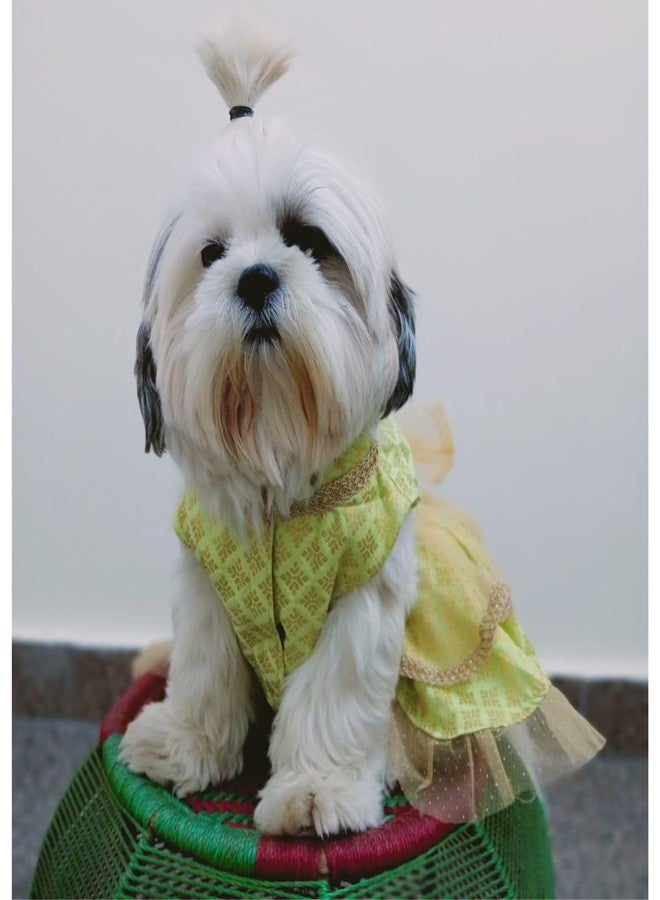 Lulala Traditional Dog Dress for Small, Medium & Large Dogs – Light Green & Golden Ethnic Outfit with Bow | Festive Pet Costume for Weddings & Parties - Image 5
