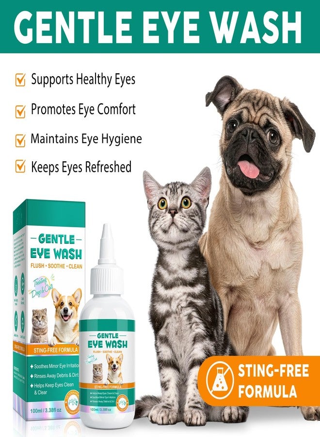 Arkture Dog Eye Drops, Eye Infection Treatment for Dogs and Cats, Soothe Infection & Allergy, Relieve Dry, Pink & Minor Irritated Eyes, Pet Tear Stain Remover & Eyes Cleaner, 100ml - Image 2