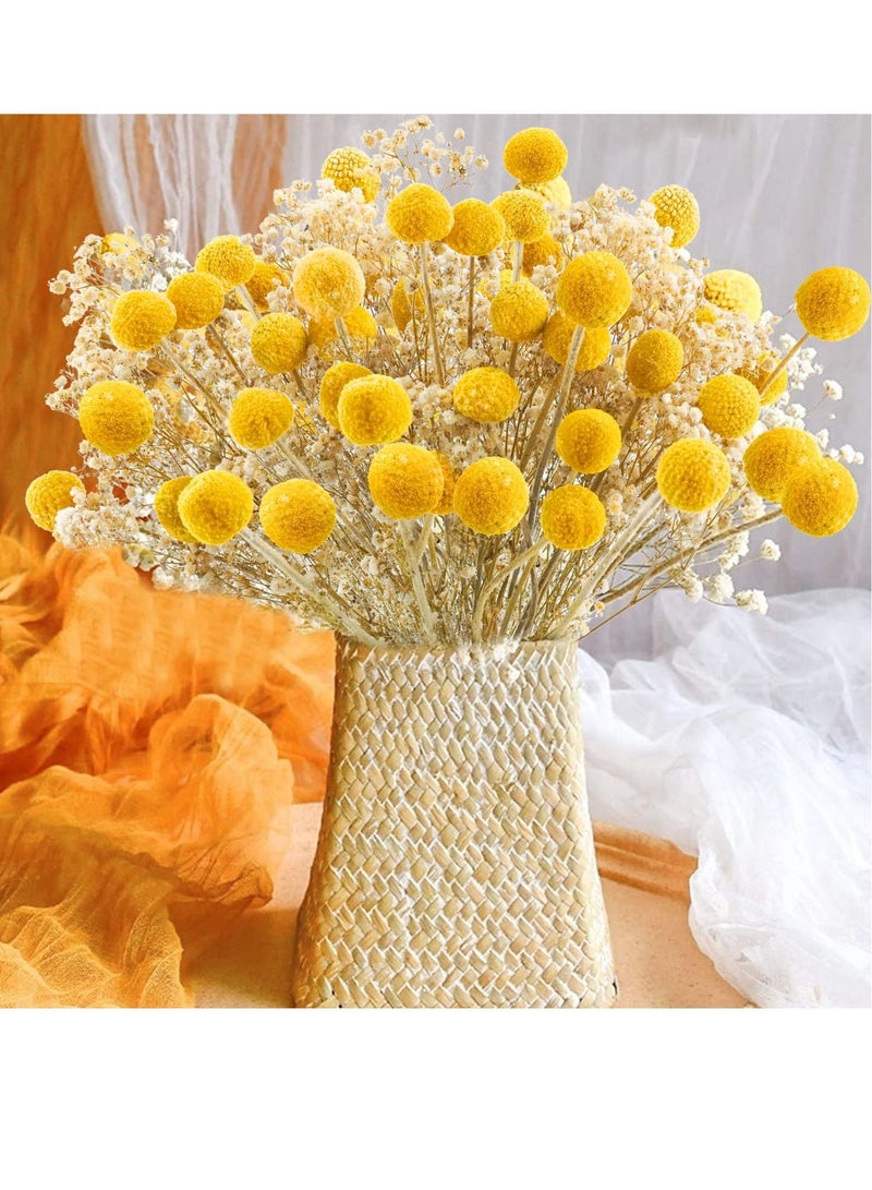 30 PCS Natural Dried Flowers, Golden Balls Hammer Flowers Flower Bouquet, Floral Bouquet for Arrangement Wedding Home Tall Vase Decoration, Craspedia Billy - Image 2