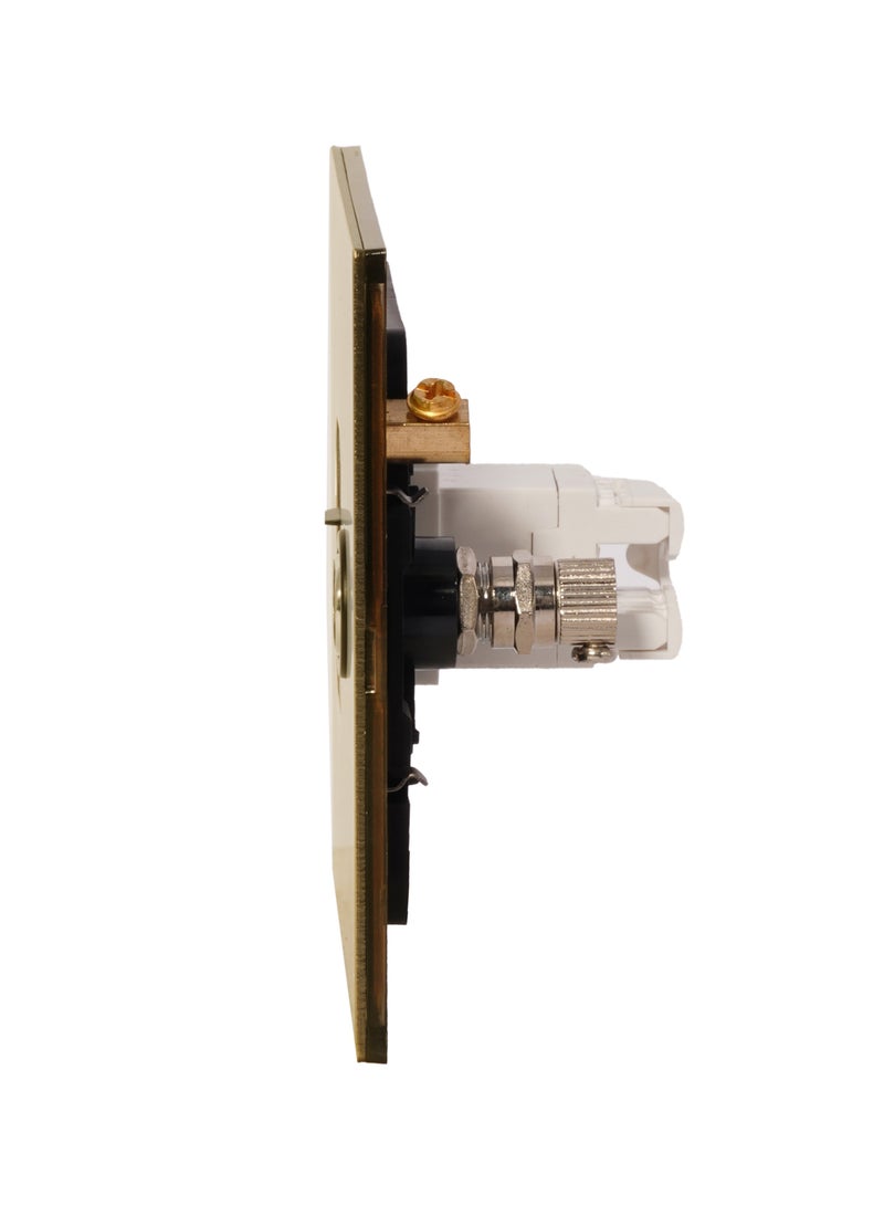 TV + Computer Socket – Stainless Steel Panel , Fire-Resistant , 3-Year Warranty , RJ45/CAT6 Network and TV Connection (Brushed Natural Brass)
