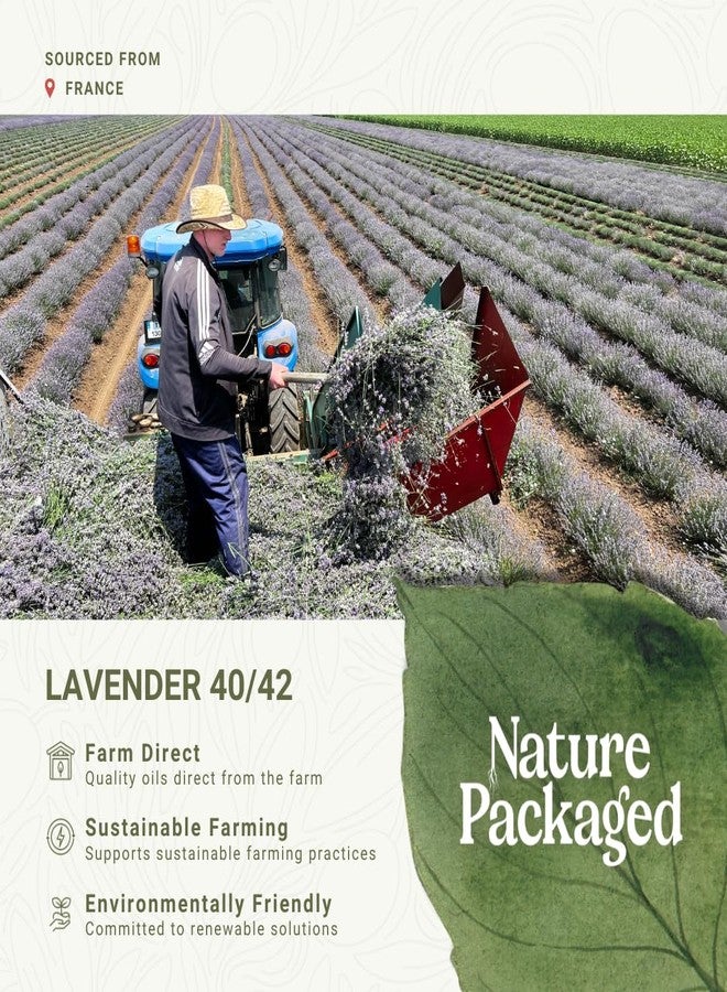 Nature Packaged Lavender 40/42 Essential Oil Direct from France - Essential Oil for Candle Making and Soaps - Pure Lavender 40/42 Oil for Aromatherapy, Skincare, Haircare, Perfumes - 15ml - Image 3