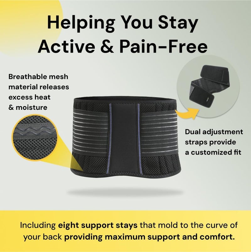 BraceUP Back Brace for Men and Women Lower Back - Breathable Waist Lumbar Support Belt for Sciatica, Herniated Disc, Scoliosis Back Pain Relief, with Dual Adjustable Straps (L/XL 35-43 In) - Image 2