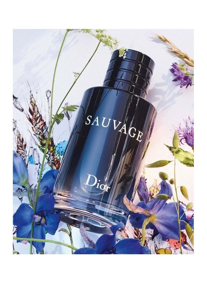 Dior Sauvage Eau de Toilette 100ml | Best Price UAE | Dubai, Abu Dhabi