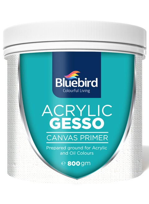 BLUEBIRD Professional Heavy Gesso Primer for Acrylic Painting 800GM Gesso Surface Prep Medium For Acrylic Paint and Oil Paint