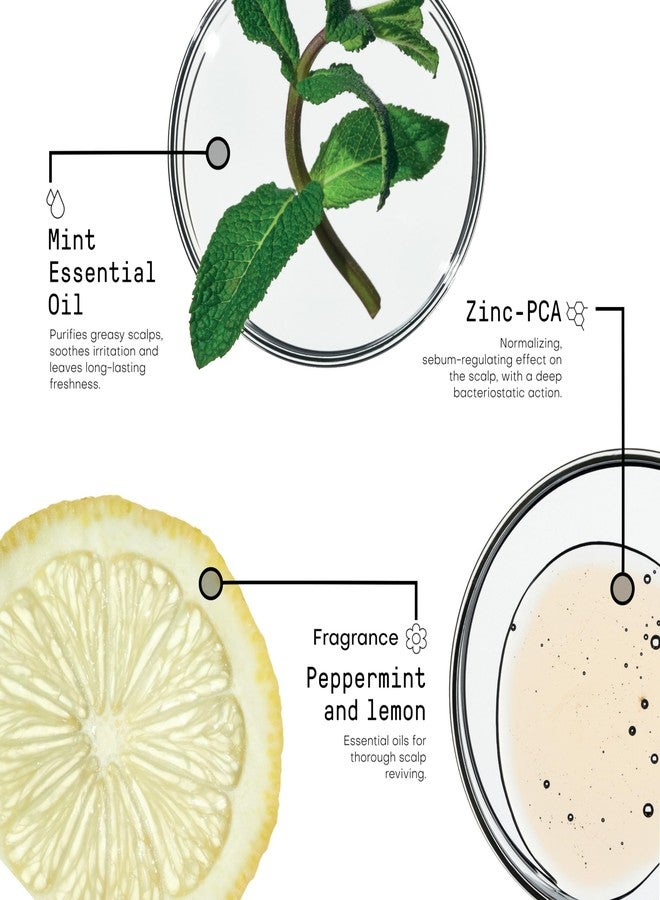 framesi شامبو فريمسي مرفوسيس بالانس 8.4 أونصة سائلة - Image 4