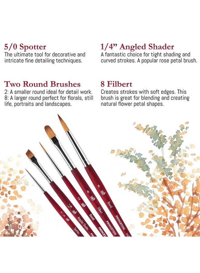 Princeton Velvetouch Series 3950 Paint Brush For Acrylic Oil And Watercolor Set Of 5 Spotter 5/0 Angle Shader ¼” Round 8 Filbert 8 Round 2 - Image 5