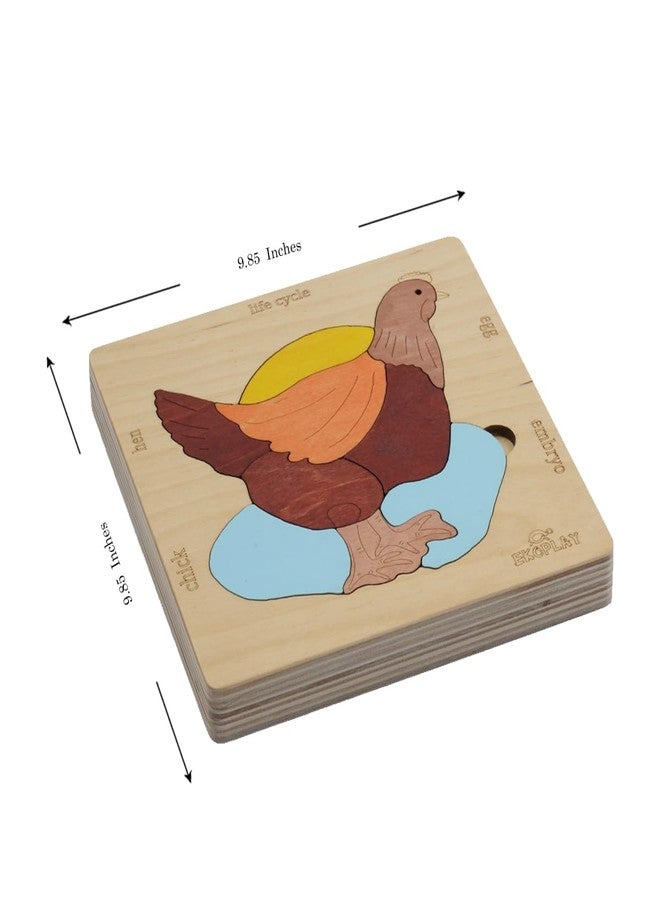 EKOPLAY Life Cycle of a Chicken 20 Piece Wooden Puzzle for Kids, Jigsaw Puzzle for Pre-School Kids, Learning Educational Toys Gifts for Boys & Girls - Image 2