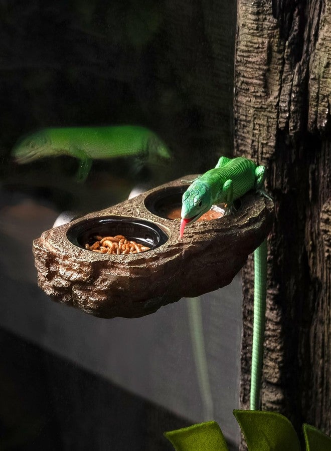 OIIBO Magnetic Reptile Feeder Ledge, Crested Gecko Feeding Ledge with 6PCS Food Cups Reptile Food Dish Water Bowl Tank Accessories for Bearded Dragon Chameleon Lizard Snake - Image 5