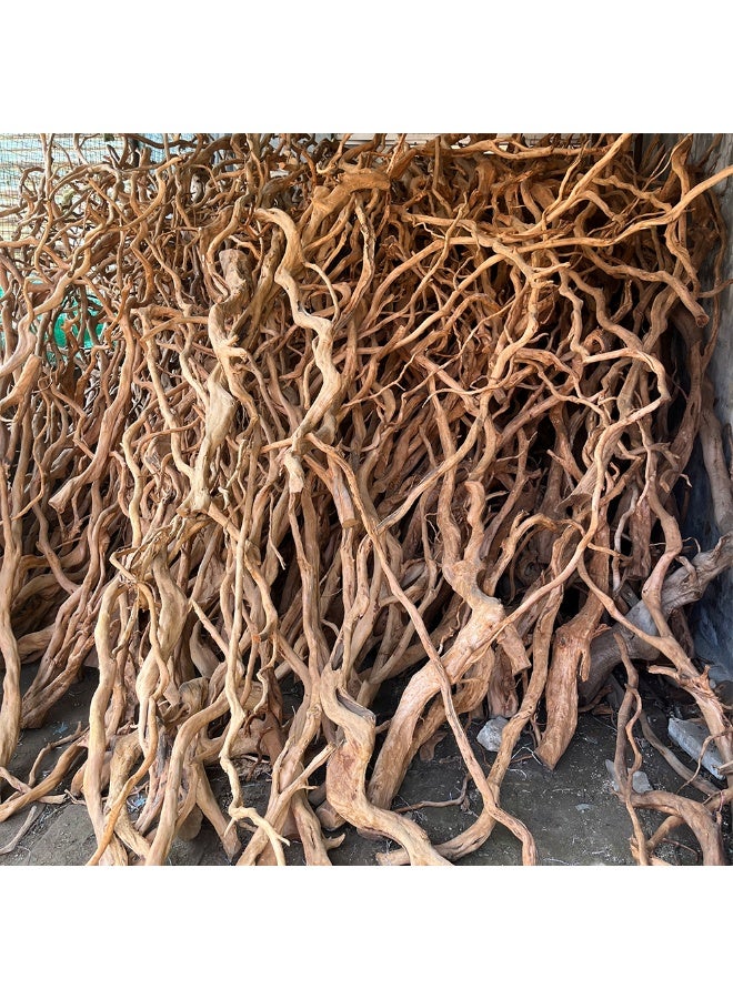 Fine Strip Azalea Root Landscaping Landscape Driftwood Underwater Decoration Aquatic Decoration, Aquatic Rhododendron Root for Aquarium - Image 1