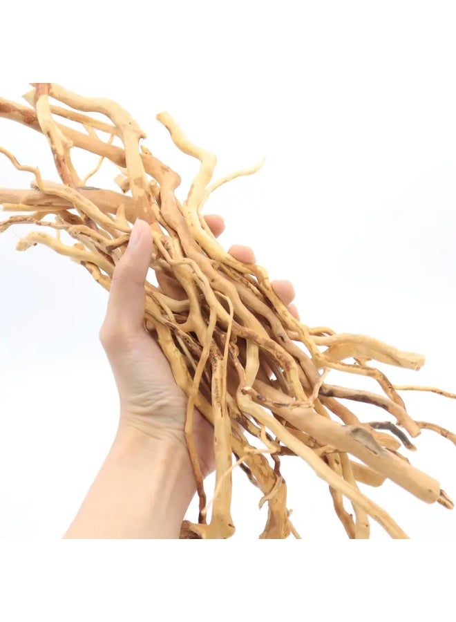 Fine Strip Azalea Root Landscaping Landscape Driftwood Underwater Decoration Aquatic Decoration, Aquatic Rhododendron Root for Aquarium - Image 2