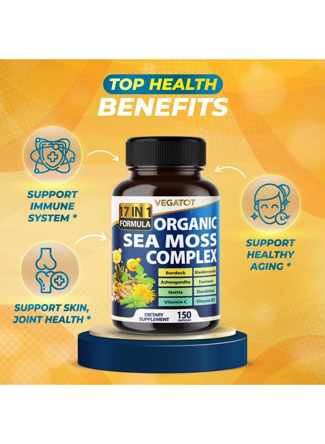 VEGATOT Organic Sea Moss with Bladderwrack, Burdock, Ashwagandha, and Turmeric - Immunity Booster for Healthy Aging, Skin & Joint Support- Made in The USA (150 Count (Pack of 1)) - Image 3