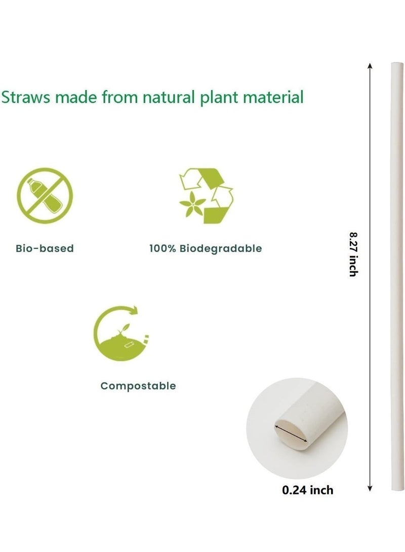 Eco ZXING Gift Luxury Straws Premium Biobased Bamboo Straws Innovative Polymer Technology 105-Pack Luxury Biodegradable Compostable Straws- Not Plastic TUV Certified Ultra Durable Hot Iced Drinks Saves Marine Life Gift - Image 5
