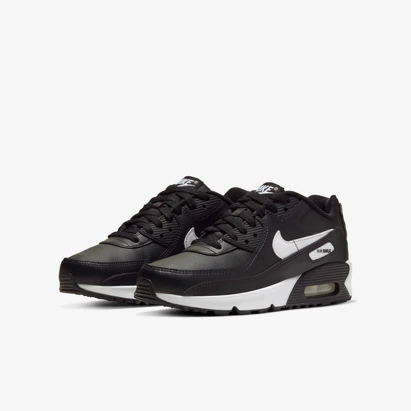Nike Kids' Air Max 90 LTR Shoes