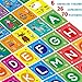 teytoy Baby Soft Alphabet Cards Toys 26Pcs ABC Alphabet Flash Cards Early Learning Toy with Storage Bag Washable Soft letter Toy for Toddlers Kids Boys Girls Over 0 Years - Image 3