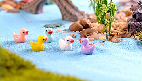 Chocozone Pack of 30 Cute Duck Miniatures Garden Decoration Gifts Home Decor Fairy Garden Decor Landscape Decorations - Image 2