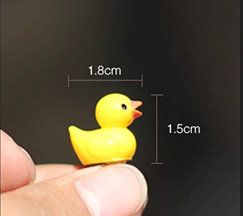 Chocozone Pack of 30 Cute Duck Miniatures Garden Decoration Gifts Home Decor Fairy Garden Decor Landscape Decorations - Image 3