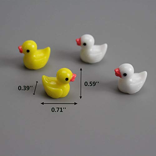 Chocozone Pack of 30 Cute Duck Miniatures Garden Decoration Gifts Home Decor Fairy Garden Decor Landscape Decorations - Image 5