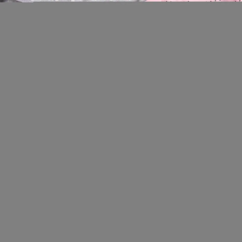 هابيفوكس Cotton Women's Panties High Waist 5 Piece Set Pack Lycra Large Size Printed Pink-gray Wide Brim