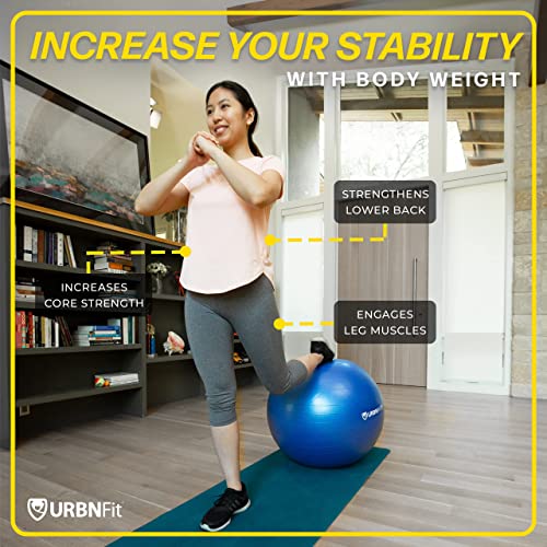 URBNFit Exercise Ball - Yoga Ball in Multiple Sizes for Yoga, Pilates, Pregnancy, Stability - Anti-Burst Swiss Balance Ball w/Quick Pump – Office Ball Chair for Home and Gym – 18 Inch - Pink - Image 4