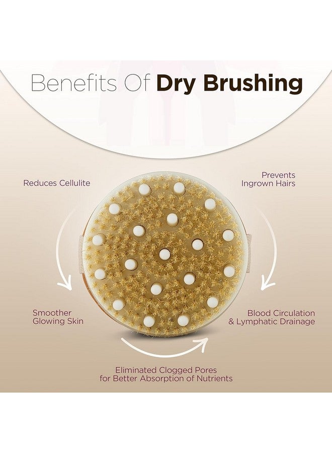 Spellwish Dry Brushing Body Brush Exfoliating Brush Body Scrubber Wooden Shower Brush Body Exfoliator Dry Brush Bath Brush for Cellulite and Lymphatic, Improve Circulation, Stop Ingrown Hairs - Image 3