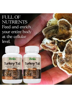 Parker Naturals Parker Naturals Premium Organic Turkey Tail Mushroom Capsules  - Image 4