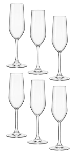 Bormioli Rocco Riserva Champagne Glasses, Set of 6 - Image 1