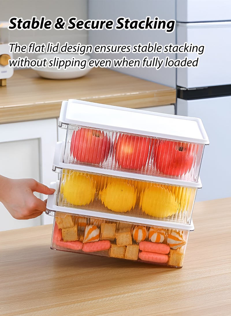 Toshionics Refrigerator Storage Box 4.4L T114623– Clear PET Fridge Organizer with Lid | Multipurpose Food Storage Container for Fruits, Vegetables, Pantry, Meal Prep | BPA-Free Stackable Kitchen Storage Bin (29×21×7.2 cm) - Image 2