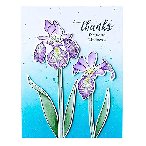 LZBRDY Iris Flowers Stamp and Dies Set for Scrapbooking and Card Making Birthday Thanksgiving Christmas Paper Craft Die Cuts - Image 1
