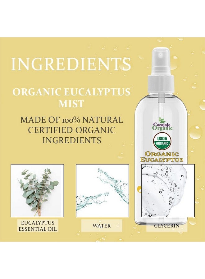 دي آر جو لاب رذاذ الأوكالبتوس العضوي للعناية بالبشرة، 118 مل، ترطيب البشرة الحساسة والجافة، معتمد من وزارة الزراعة الأمريكية، 100% زيت عطري نقي ورذاذ جليسرين - Image 4