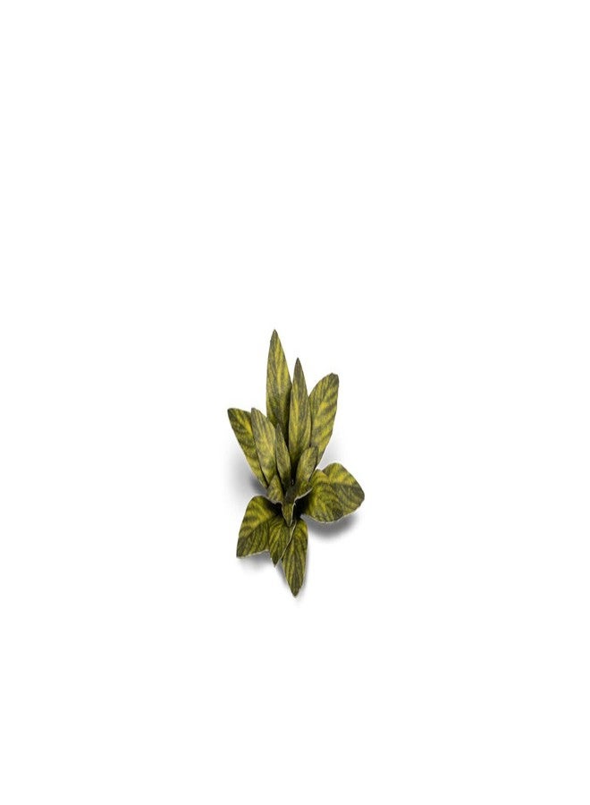 Gamers Grass - Laser Plants - Dumb Cane - Image 2