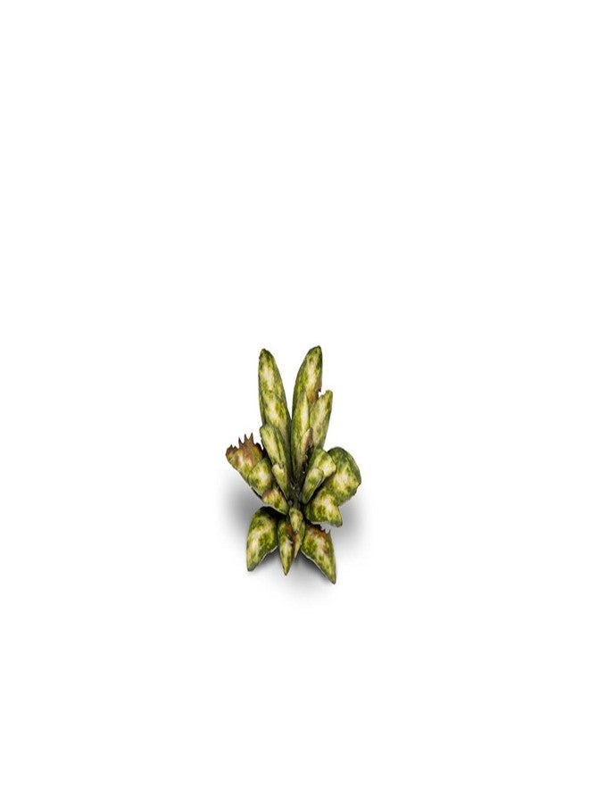 Gamers Grass - Laser Plants - Dumb Cane - Image 4