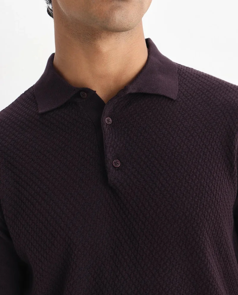 Rare Rabbit Men's Regular Fit Plain Polo