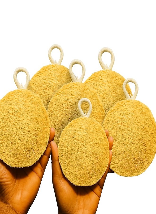 Dinya™ Natural Dish Washing Scrub (Pack of 6) Round Loofah Dish Scrubber for Sparkling Clean Surfaces | Non-Scratch, Sustainable, Quick-Dry & Reusable | Ideal for Kitchen, Cookware & Sink Cleaning - Image 1