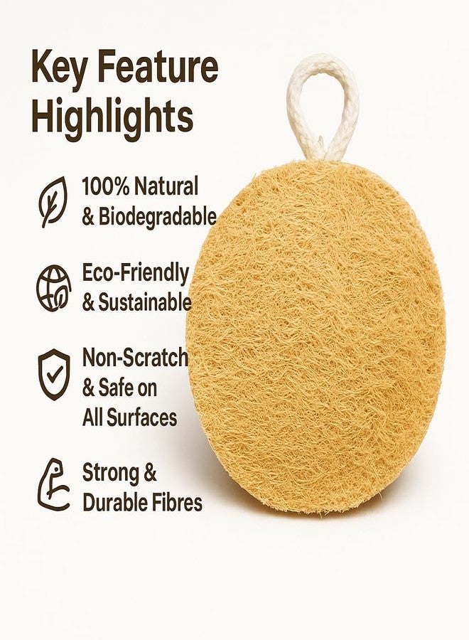 Dinya™ Natural Dish Washing Scrub (Pack of 6) Round Loofah Dish Scrubber for Sparkling Clean Surfaces | Non-Scratch, Sustainable, Quick-Dry & Reusable | Ideal for Kitchen, Cookware & Sink Cleaning - Image 5