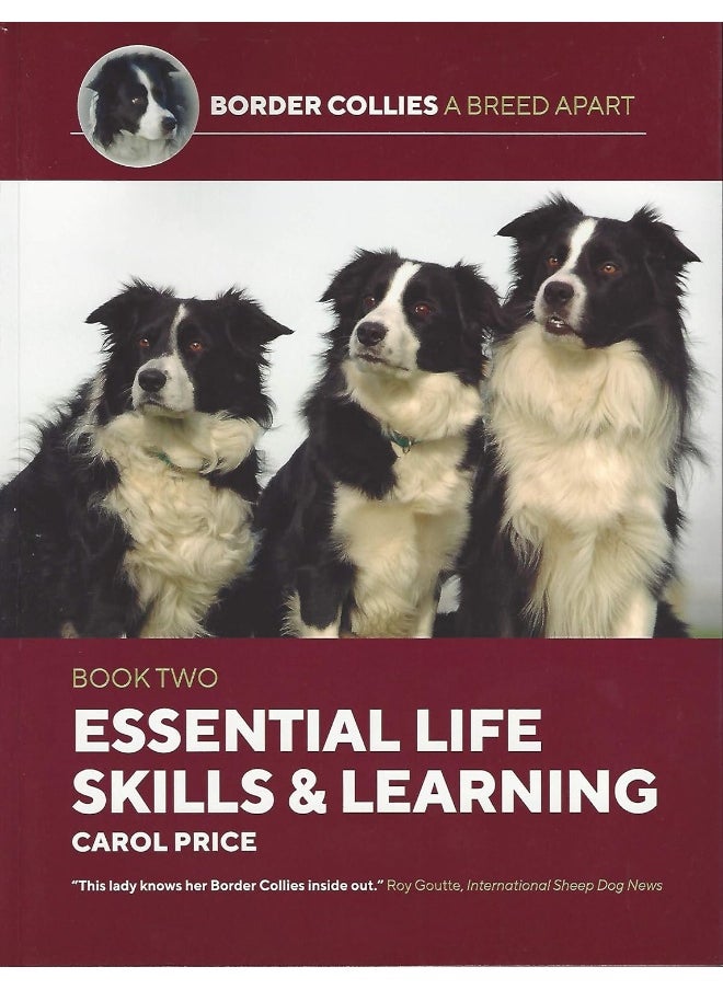 Life Skills and Learning  - Image 1