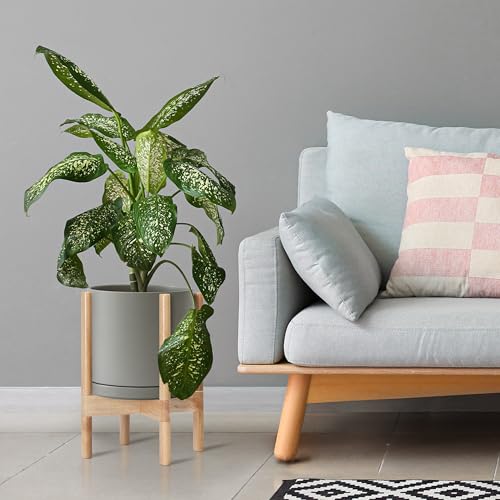 D'vine Dev Ceramic Planter with Natural Stand - 10 Inch Modern Round Flower Pot with Wood Planter Holder, Grey, 55-B-K-3 - Image 4