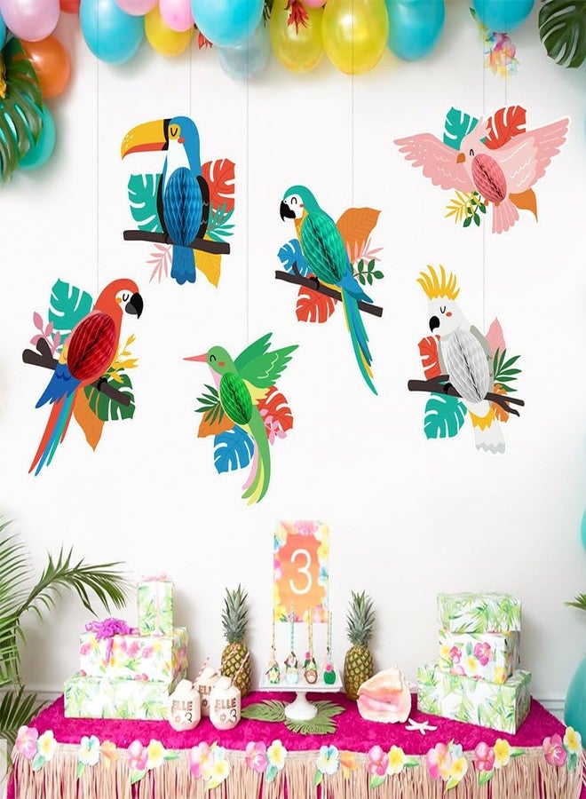 AnnoDeel Tropical Birds Honeycomb Cutouts, 6 Pcs Hawaiian Tropical Luau Party Decorations Summer Parrot Honeycomb Cutouts for Tiki Bar Home Classroom Supplies - Image 4