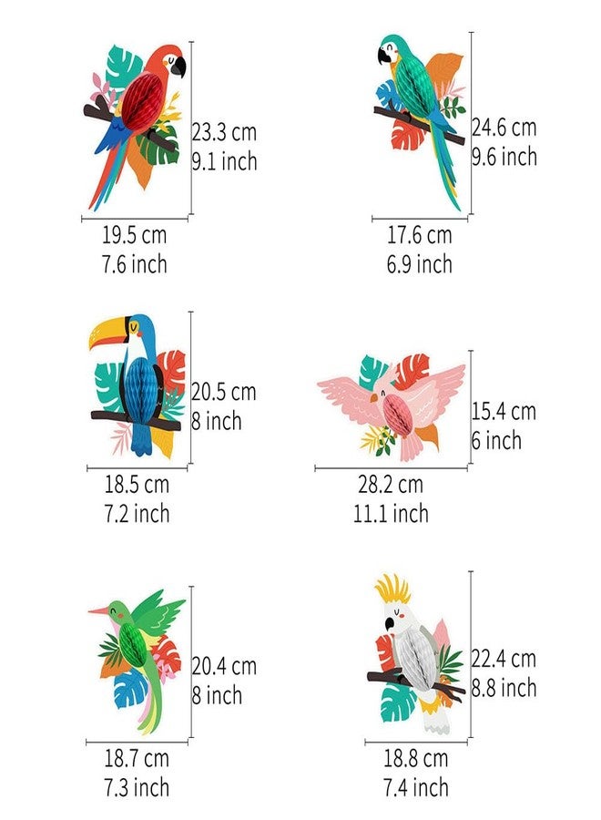 AnnoDeel Tropical Birds Honeycomb Cutouts, 6 Pcs Hawaiian Tropical Luau Party Decorations Summer Parrot Honeycomb Cutouts for Tiki Bar Home Classroom Supplies - Image 2