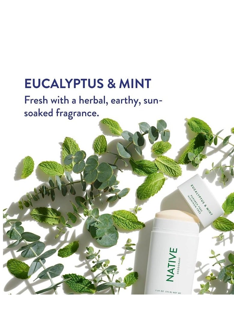 native Native Deodorant | Natural Deodorant for Men, Aluminum Free with Baking Soda, Coconut Oil and Shea Butter | Eucalyptus & Mint  - Image 2
