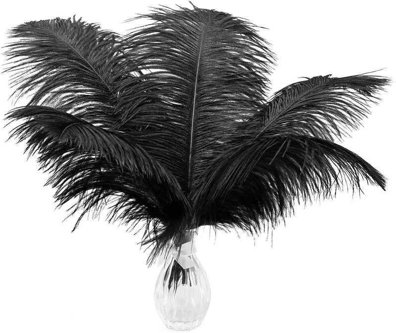 Ballinger Black Ostrich Feathers Bulk - 24Pcs 8-10inch Feathers for Crafts,Gatsby and Halloween Party Centerpieces - Image 1