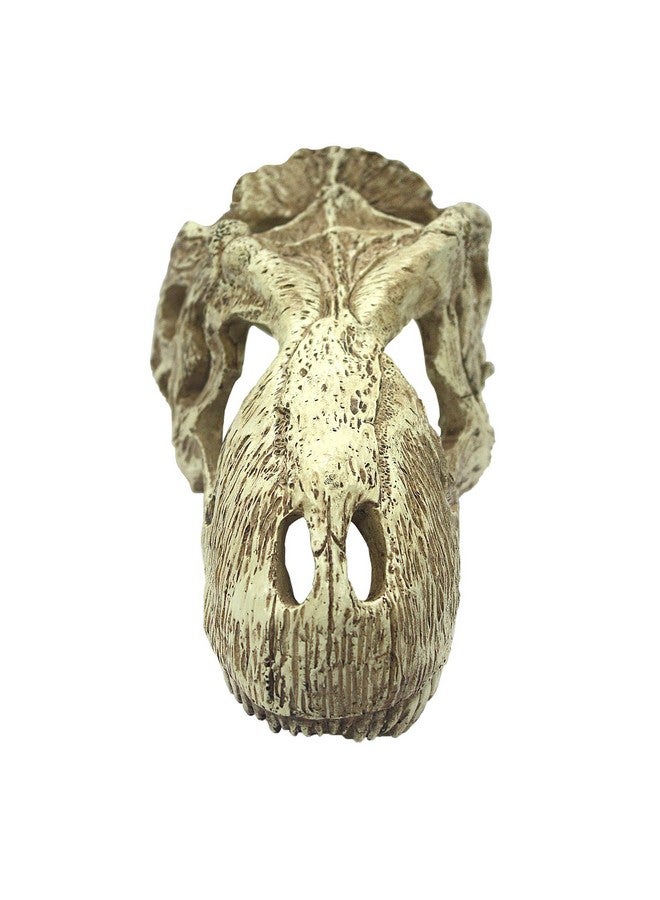 Komodo Reptile Terrarium Realistic T-Rex Skull Ornament Decor | Easy to Clean Under Water Aquarium or Dry Habitat Decoration Accessory, Large, 6.7"x 3.7"x 3.1" - Image 3
