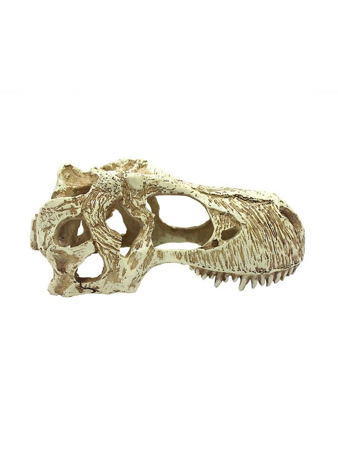 Komodo Reptile Terrarium Realistic T-Rex Skull Ornament Decor | Easy to Clean Under Water Aquarium or Dry Habitat Decoration Accessory, Large, 6.7"x 3.7"x 3.1" - Image 4