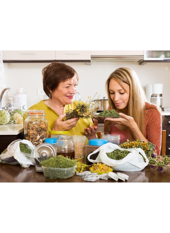 DrFormulas Menopause Supplement for Hot Flashes, Night Sweats, and Mood Swings Relief with DIM, Dong Quai, Black Cohosh, 60 Count - Image 5