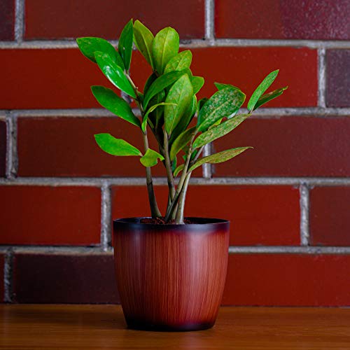 garbnoire Gardening Flower Pots - 5 Inch Plastic Flower Pots | Modern Decorative Indoor Outdoor Planters/Pots - Pack of (3, Wooden) - Image 1