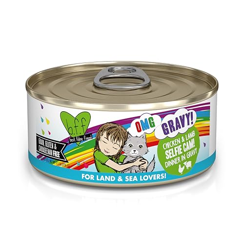 Weruva B.F.F. OMG - Best Feline Friend Oh My Gravy!, Selfie Cam! with Chicken & Lamb in Gravy Cat Food, 5.5oz Can (Pack of 8) - Image 1