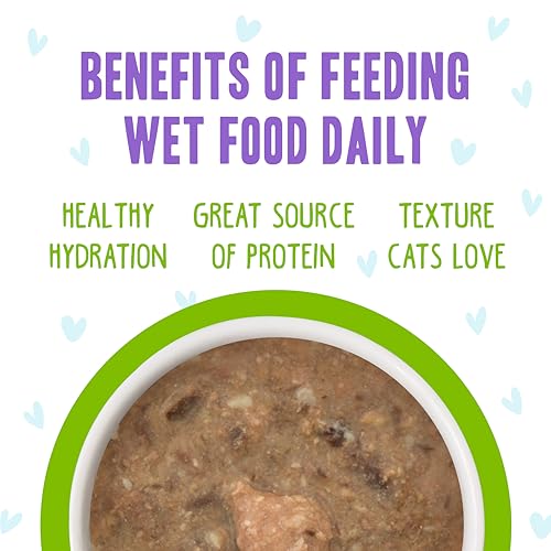 Weruva B.F.F. OMG - Best Feline Friend Oh My Gravy!, Selfie Cam! with Chicken & Lamb in Gravy Cat Food, 5.5oz Can (Pack of 8) - Image 5