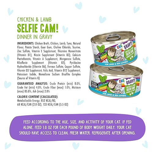 Weruva B.F.F. OMG - Best Feline Friend Oh My Gravy!, Selfie Cam! with Chicken & Lamb in Gravy Cat Food, 5.5oz Can (Pack of 8) - Image 4