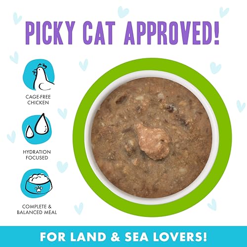 Weruva B.F.F. OMG - Best Feline Friend Oh My Gravy!, Selfie Cam! with Chicken & Lamb in Gravy Cat Food, 5.5oz Can (Pack of 8) - Image 3