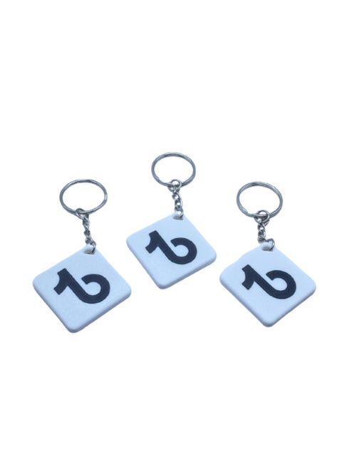 NFC tag Key Holder with TikTok Logo design and its Programmable Tiktok